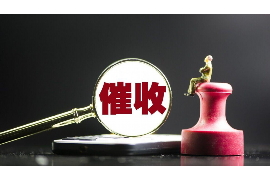 元阳贷款清欠服务